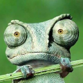 George Avatar
