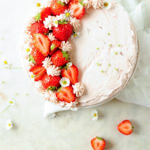 White Cake Chocolate Frosting Bavarian Cream Filling White Cake Chocolate Frosting Bavarian Cream Filling