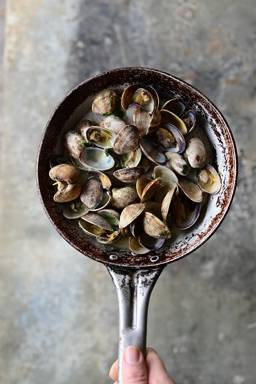 Creamy garlic black pasta with clams and octopus