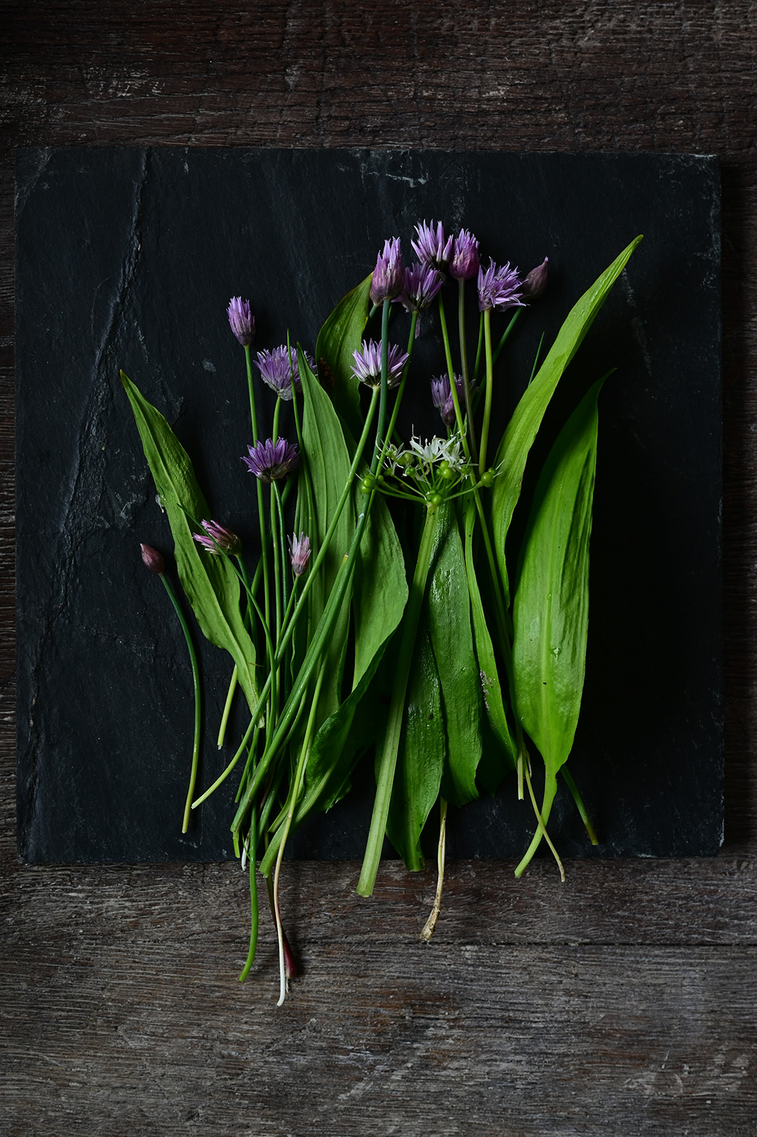 Spring pasta with wild garlic pesto