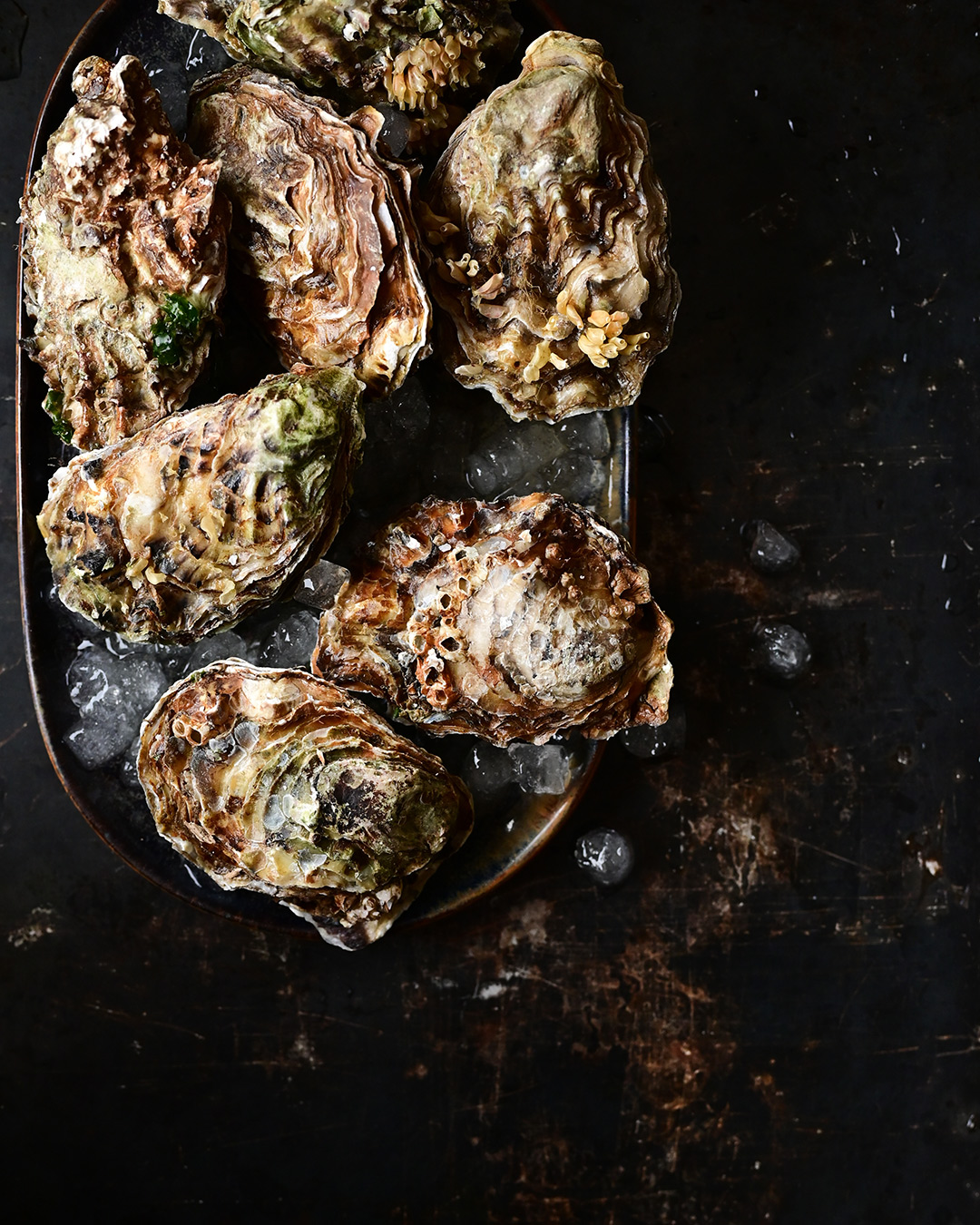 serving dumplings | Ostrygi zapiekane z parmezanem, aïoli i masłem szałwiowym