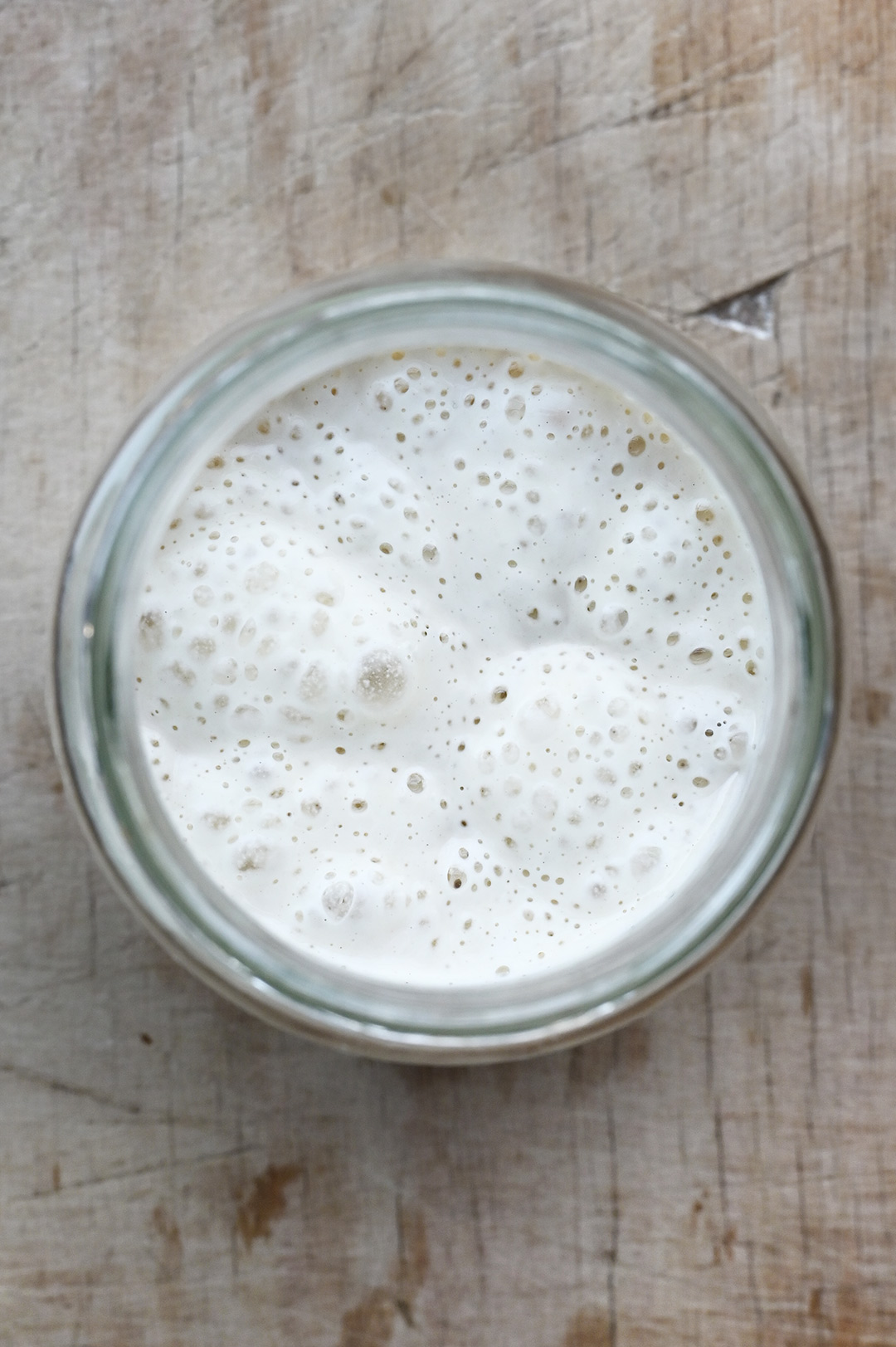 Sourdough starter from scratch