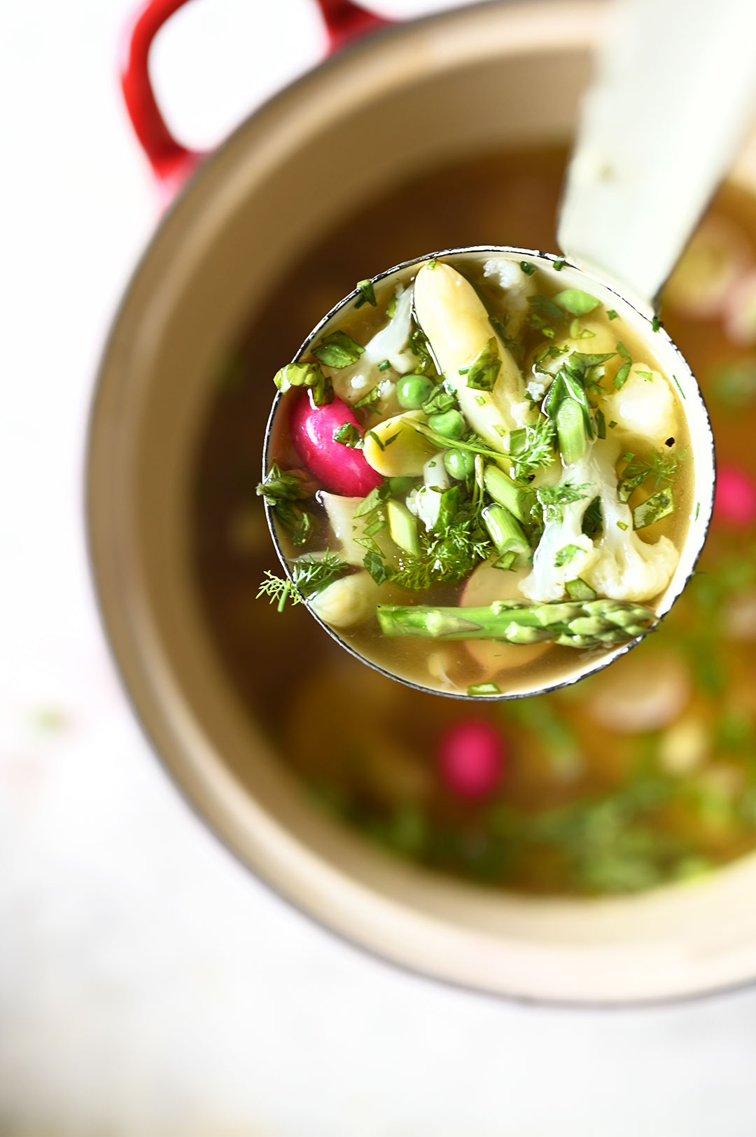 serving dumplings | Spring vegetable soup with basil pistou