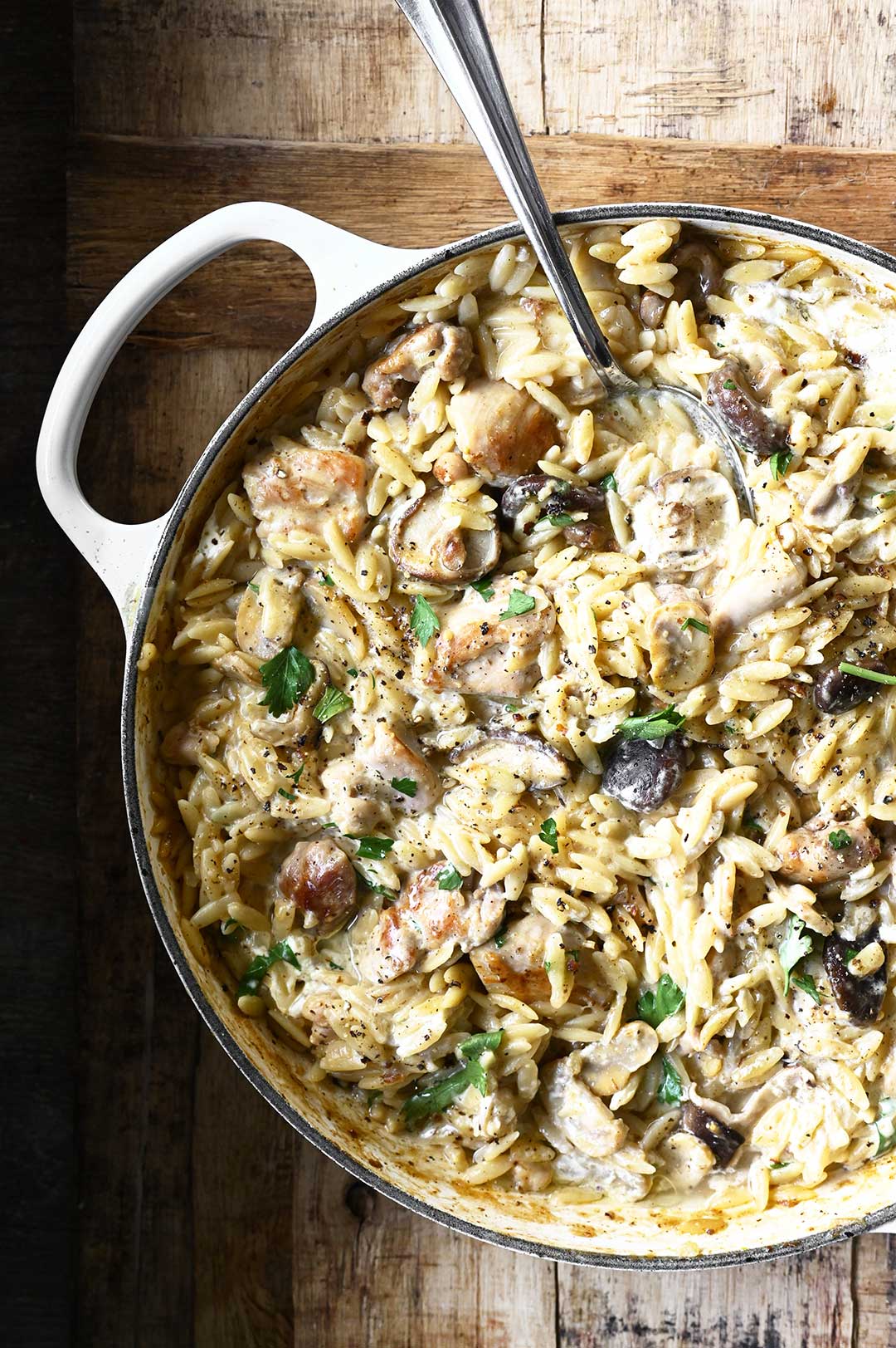 One-Pot Chicken Stroganoff with Orzo one-pot chicken stroganoff with orzo
