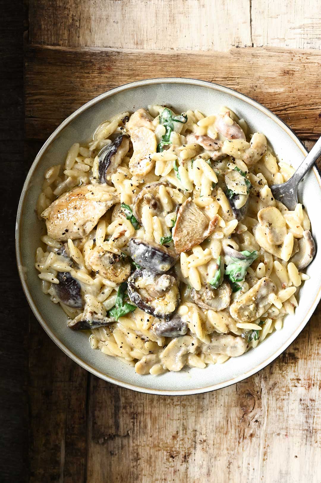 One-Pot Chicken Stroganoff with Orzo one-pot chicken stroganoff with orzo