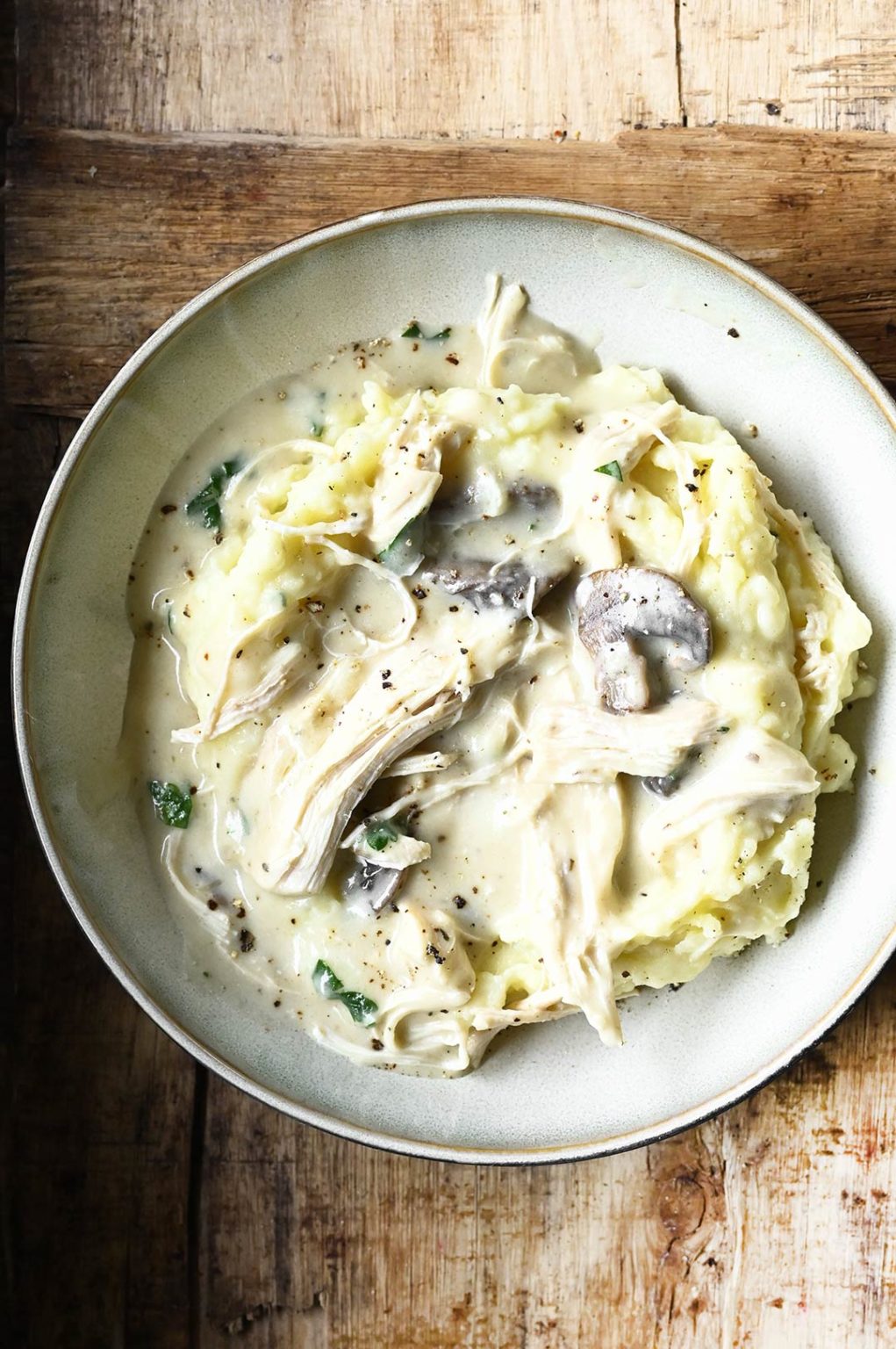 Rotisserie Chicken in Creamy Mushroom Sauce Serving Dumplings