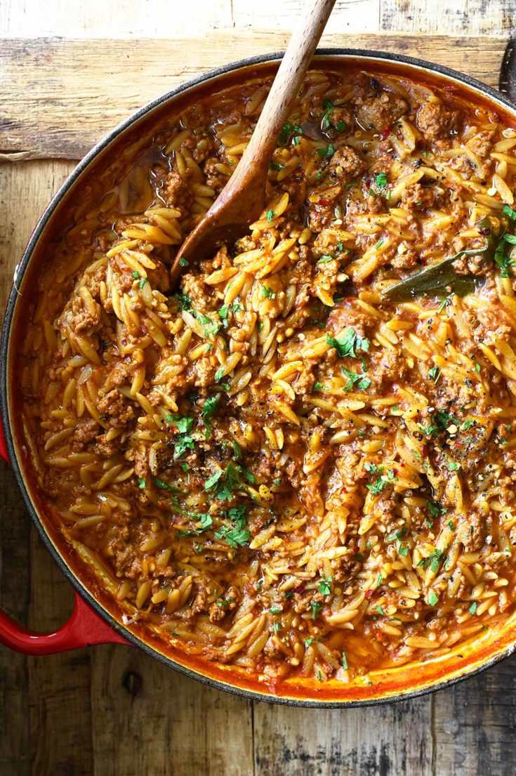 One Pot Tomato Beef Orzo Serving Dumplings