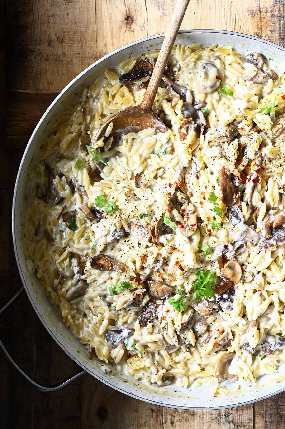 one pot creamy garlic mushroom orzo