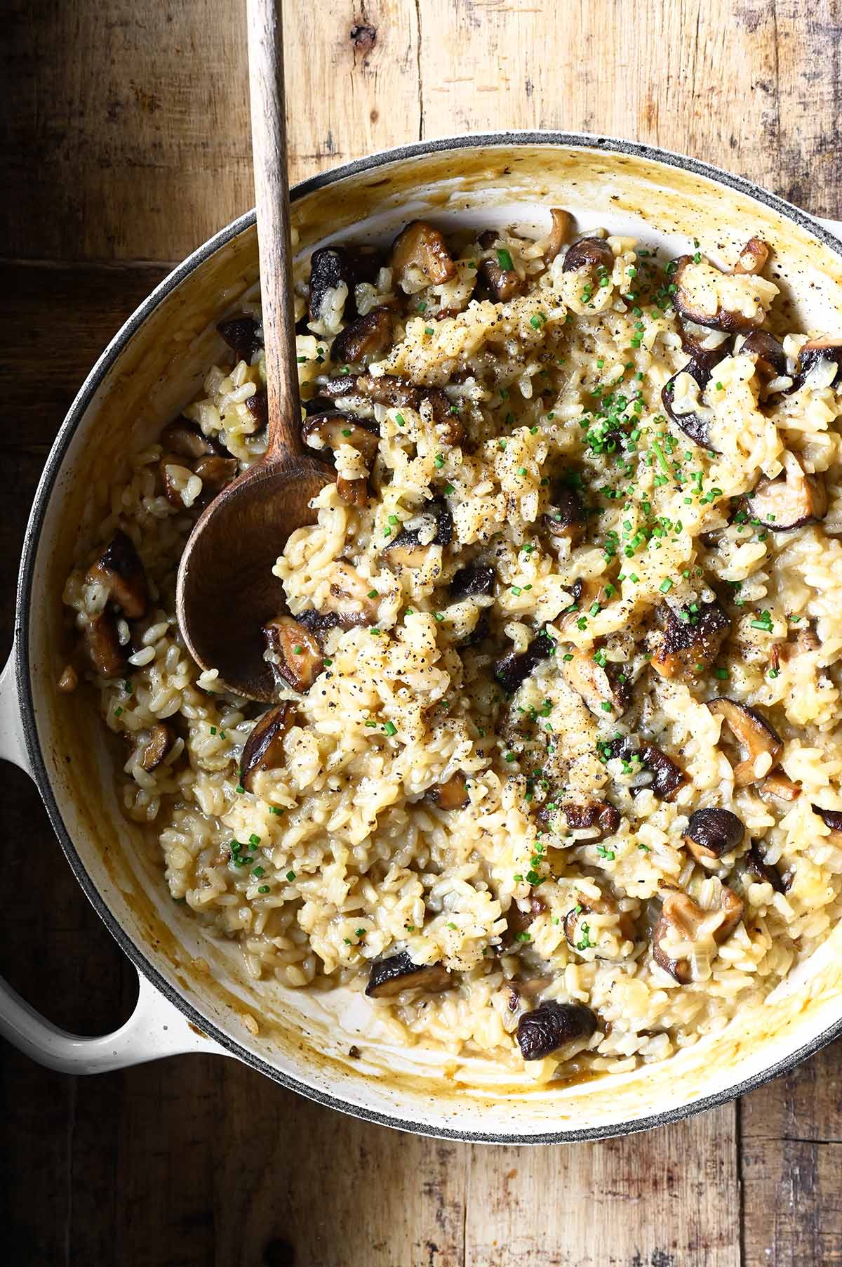 japanese style risotto with seared salmon