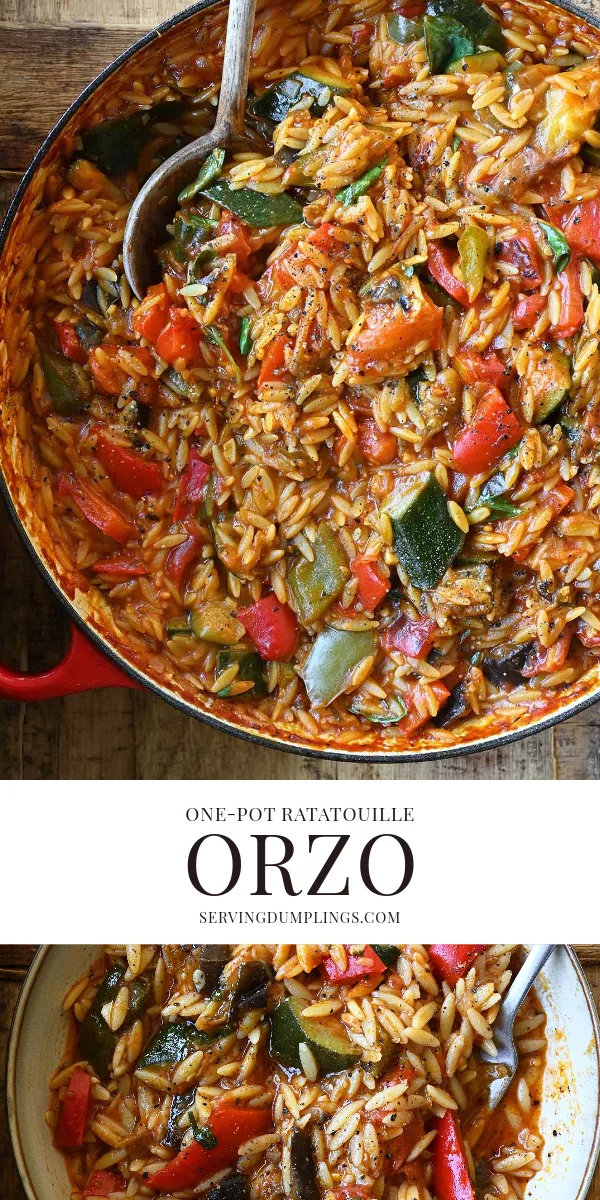 One Pot Ratatouille Orzo - Serving Dumplings