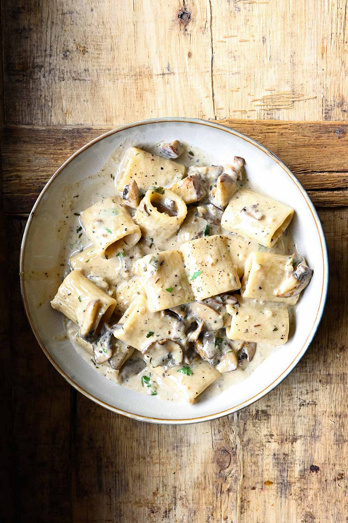 mushroom alfredo pasta