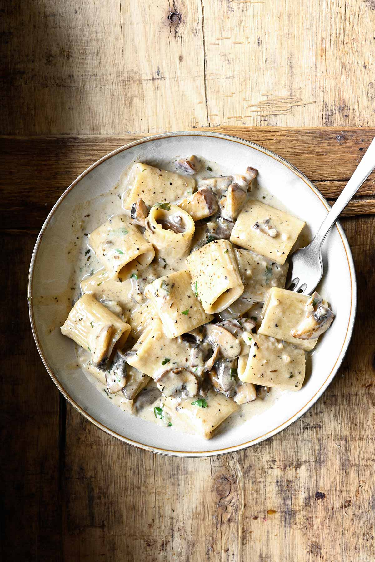 mushroom alfredo pasta