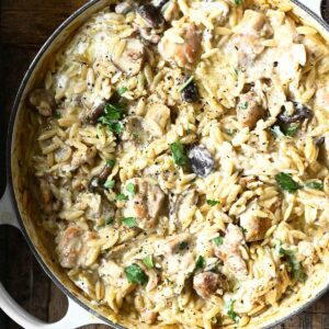 one pot chicken stroganoff with orzo