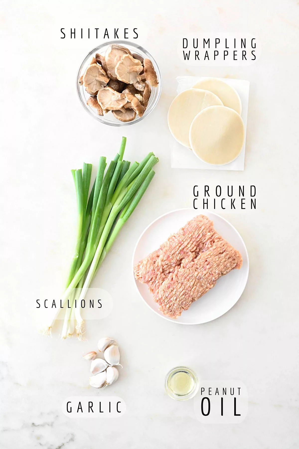 gyoza noodle chicken skillet ingredients