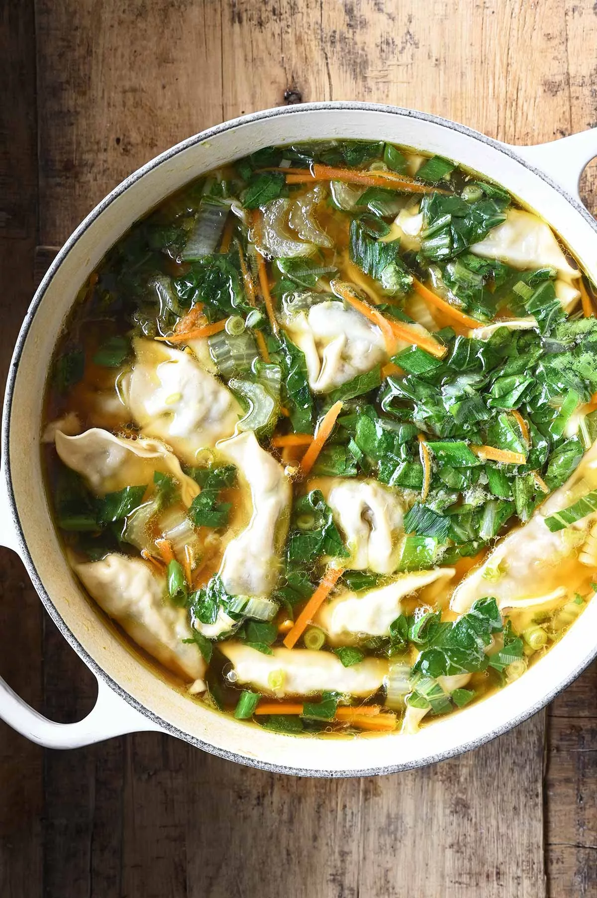 dumpling soup