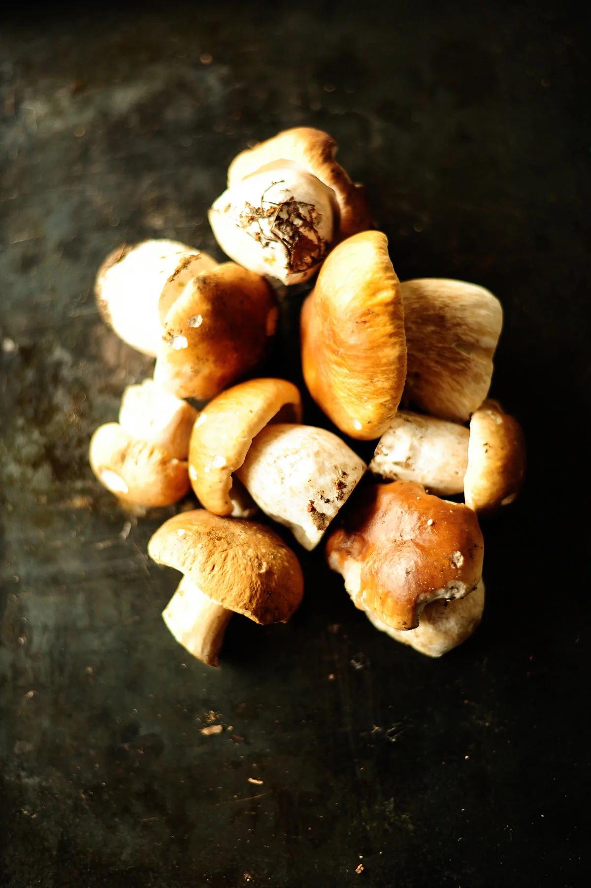 porcini mushrooms